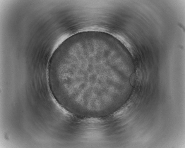 X0000097780998200803211754