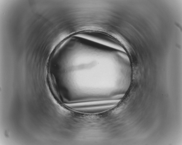 X0000097780999200803211754