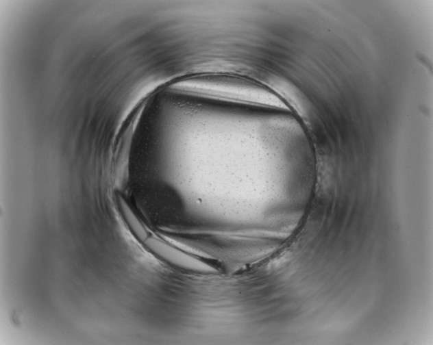 X0000097781000200803211754