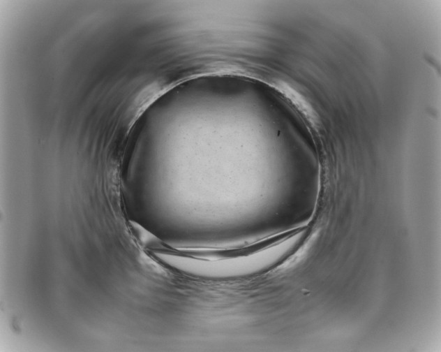 X0000097781001200803211754