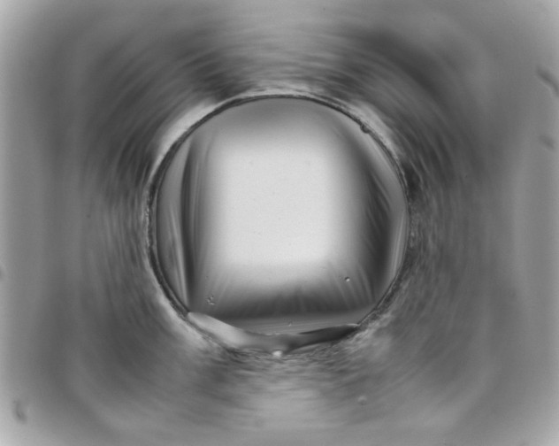 X0000097781003200803211754