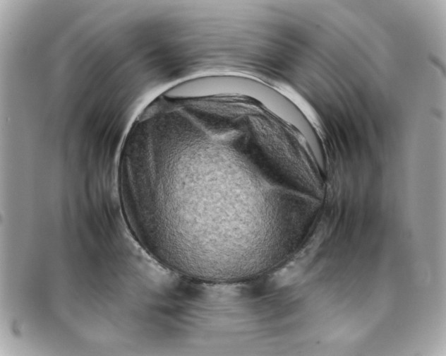 X0000097781004200803211754