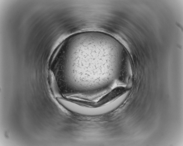 X0000097781005200803211754