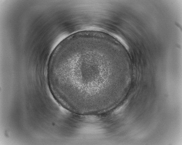 X0000097781007200803211754