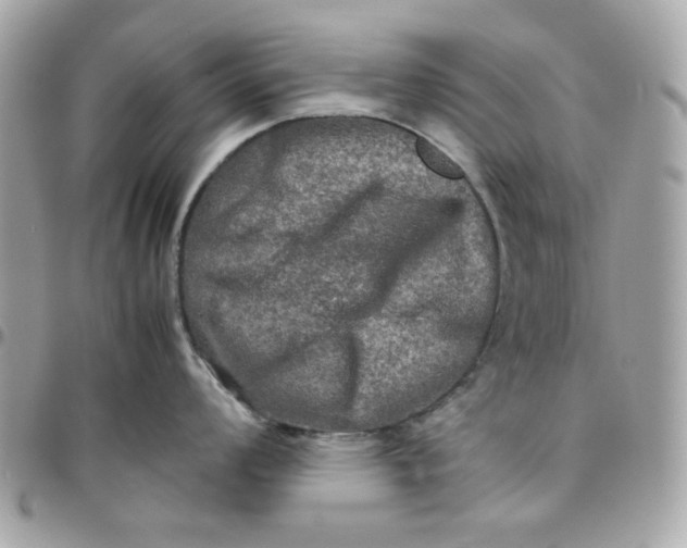 X0000097781008200803211754