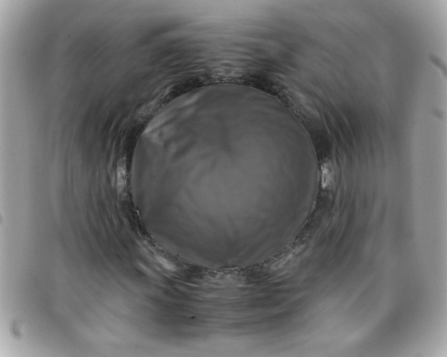 X0000097781011200803211754