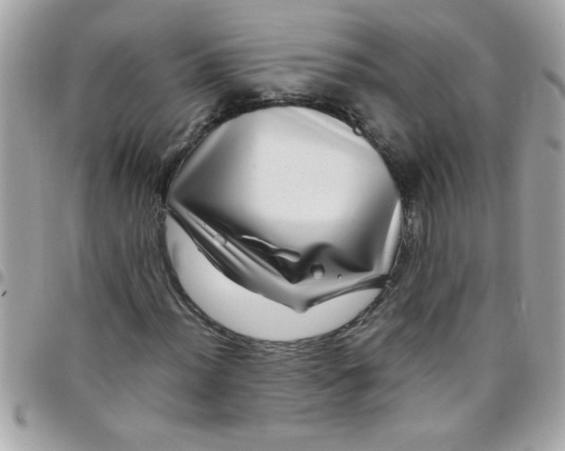 X0000097781012200803211754