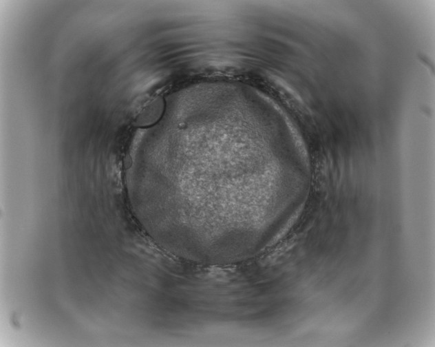 X0000097781013200803211754