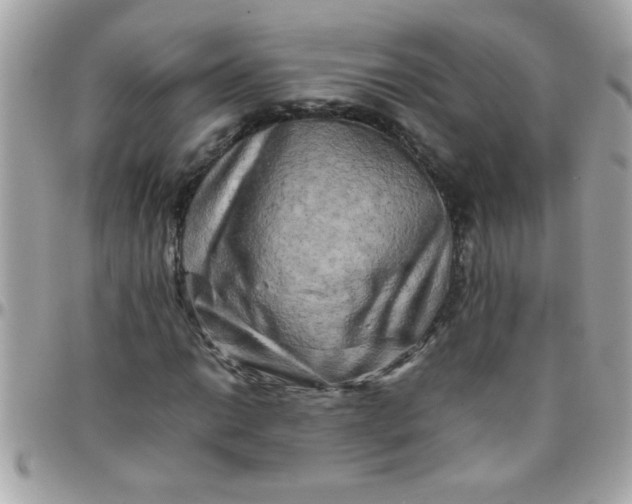 X0000097781014200803211754