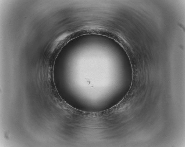 X0000097781016200803211754