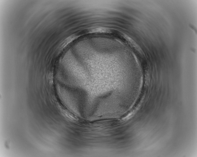 X0000097781017200803211754