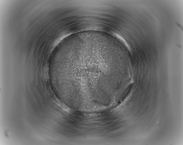 X0000097781019200803211754