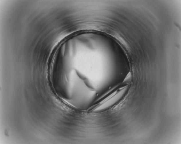 X0000097781020200803211754