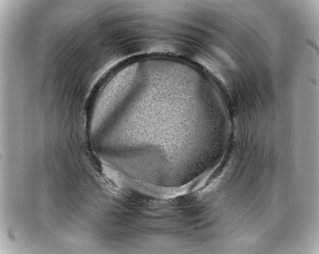 X0000097781021200803211754