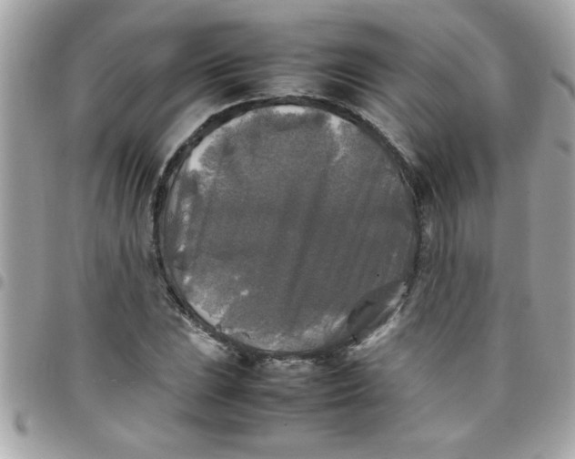 X0000097781023200803211754