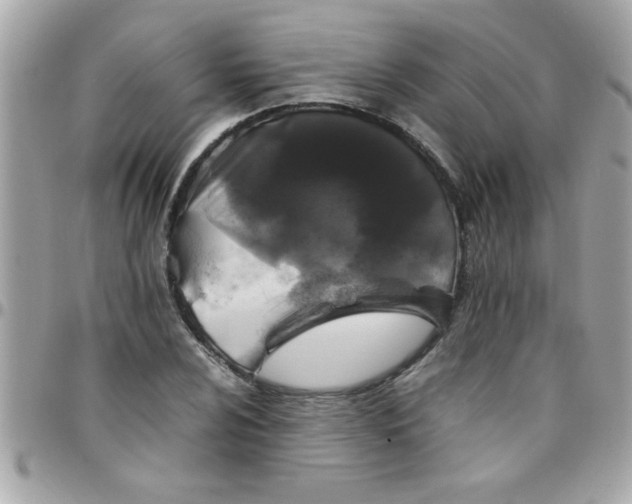 X0000097781024200803211754