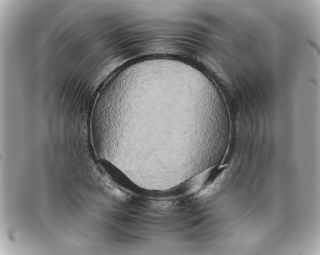 X0000097781025200803211754