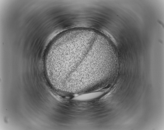 X0000097781027200803211754