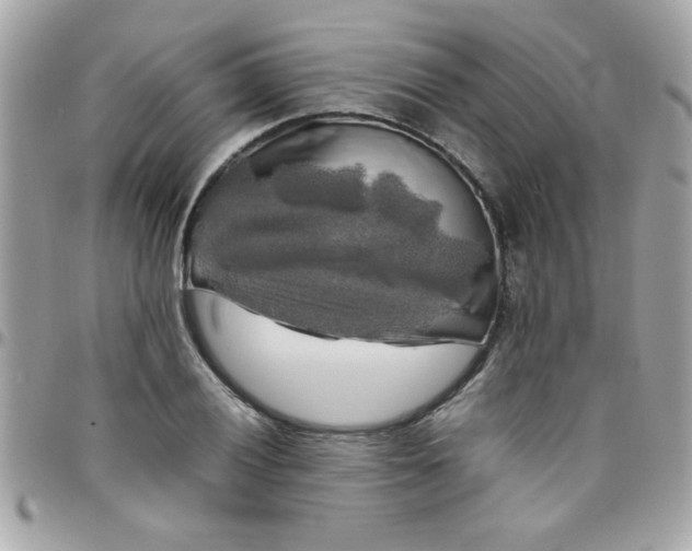 X0000097781028200803211754