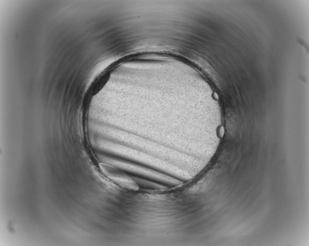 X0000097781030200803211754