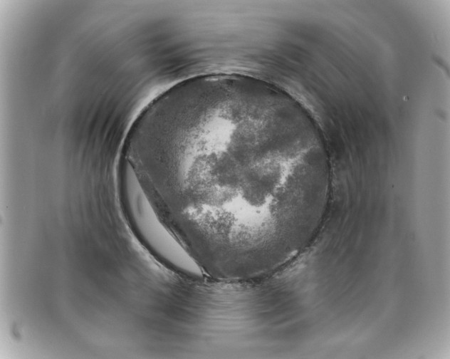 X0000097781032200803211754