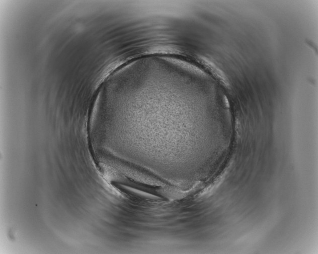 X0000097781033200803211754