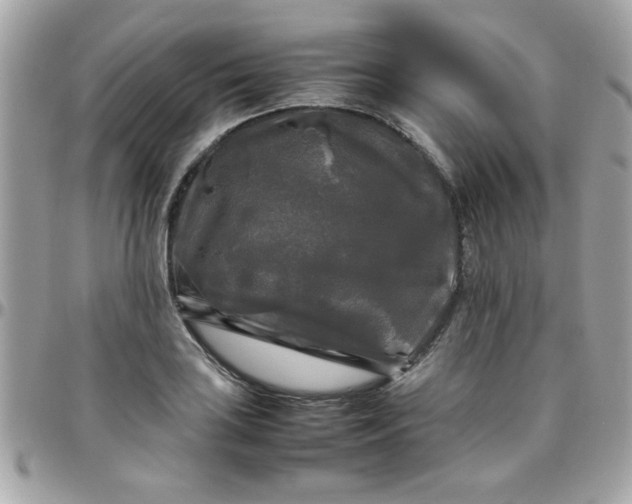 X0000097781035200803211754