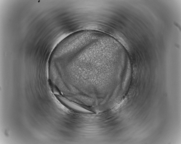 X0000097781036200803211754