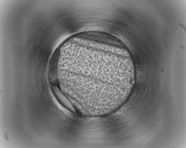 X0000097781038200803211754