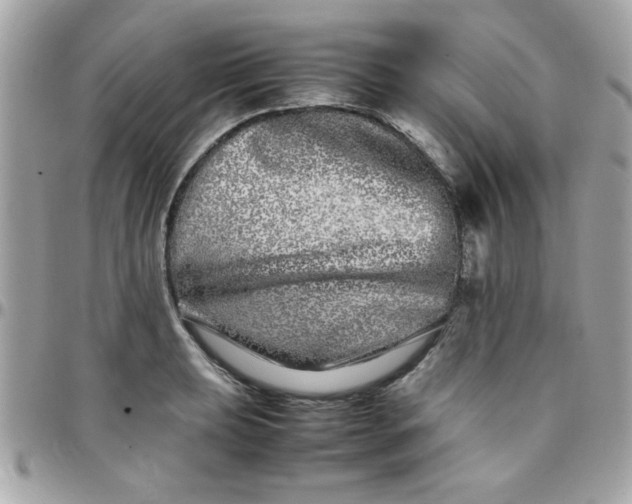 X0000097781039200803211754