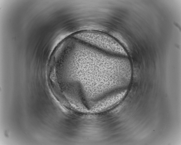 X0000097781040200803211754