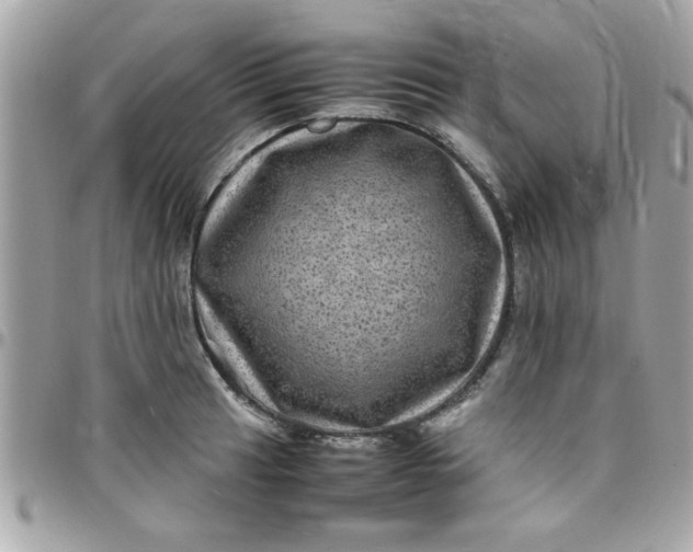 X0000097781041200803211754