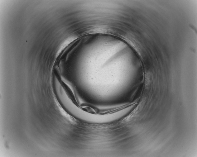 X0000097781042200803211754