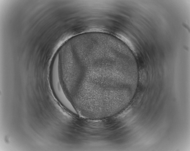 X0000097781043200803211754