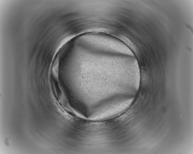 X0000097781044200803211754