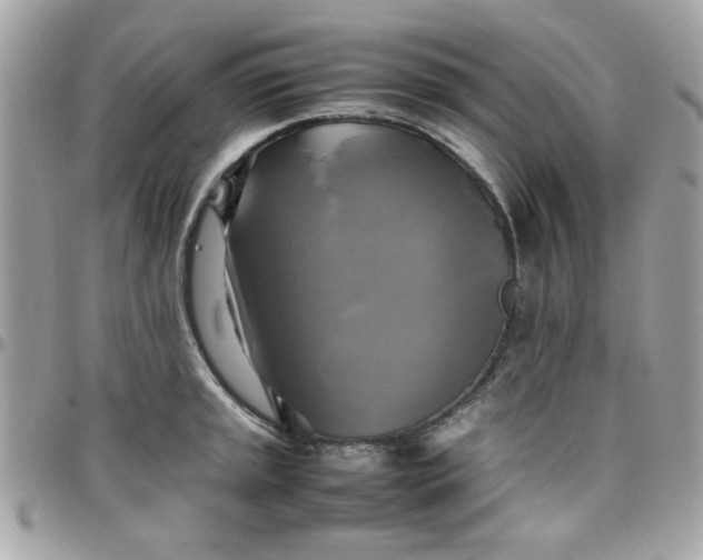 X0000097781045200803211754