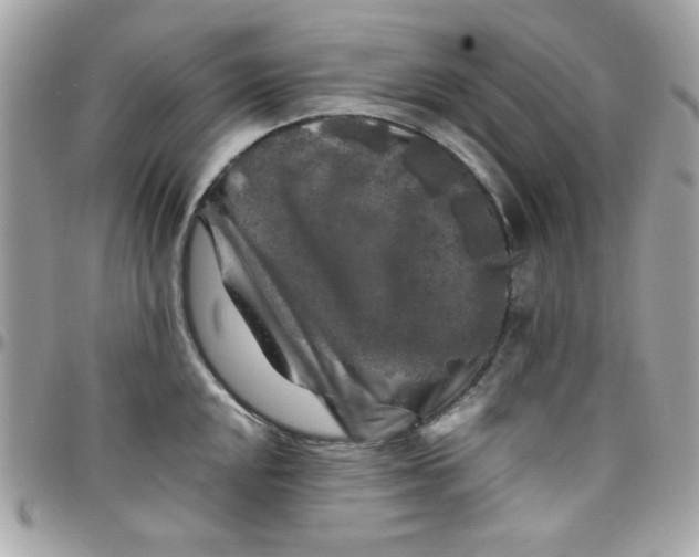 X0000097781048200803211754