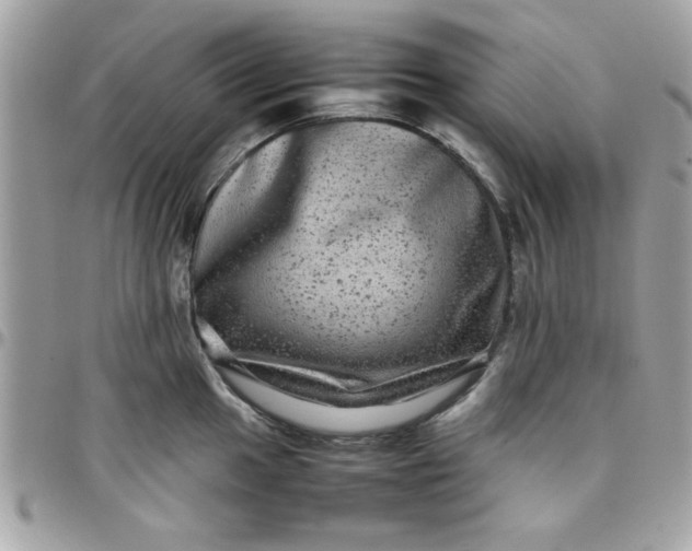 X0000097781049200803211754