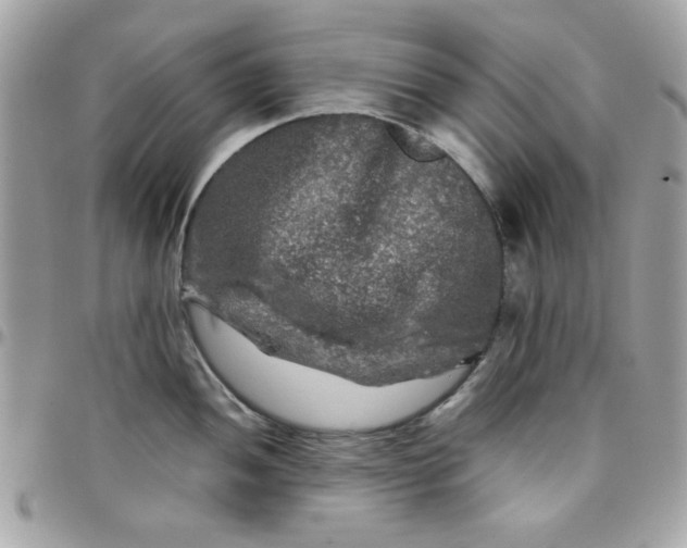 X0000097781052200803211754