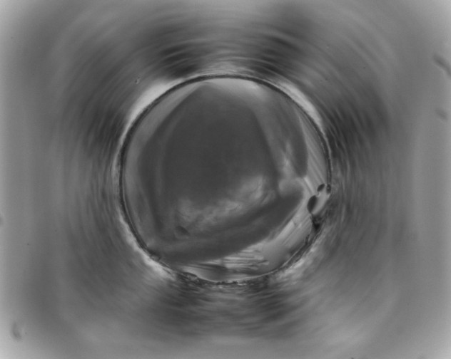 X0000097781053200803211754