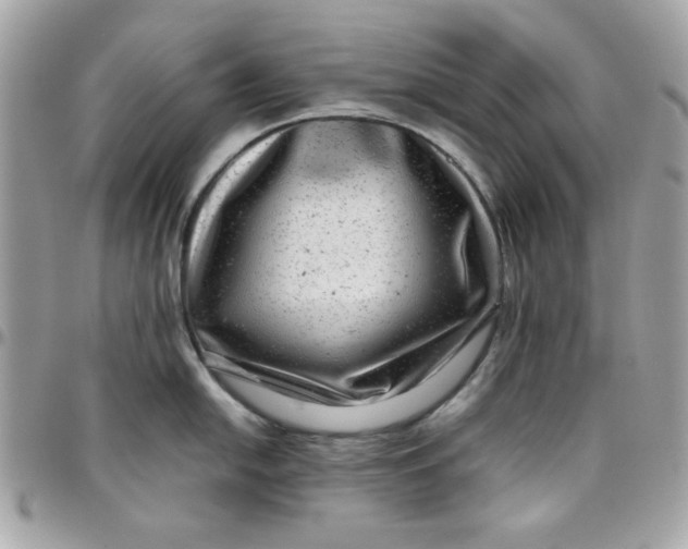 X0000097781054200803211754