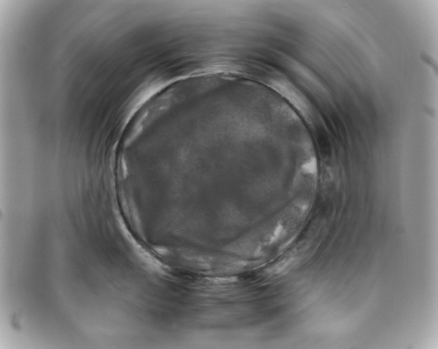 X0000097781055200803211754