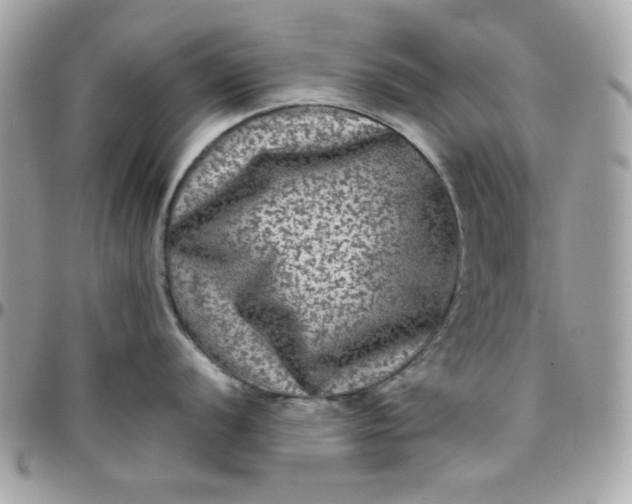 X0000097781056200803211754