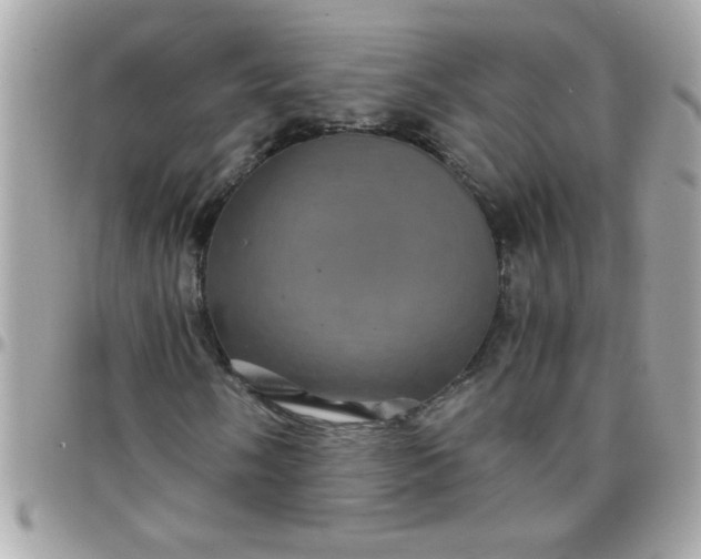 X0000097781058200803211754