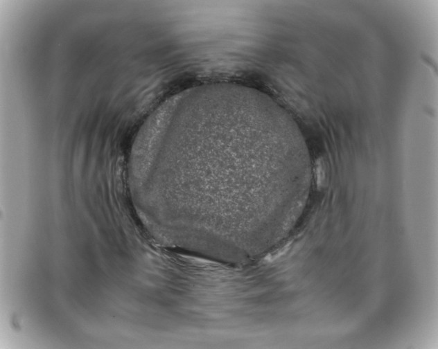 X0000097781059200803211754