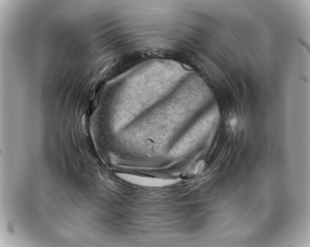 X0000097781060200803211754