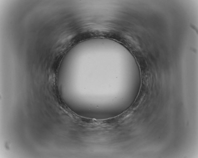 X0000097781061200803211754