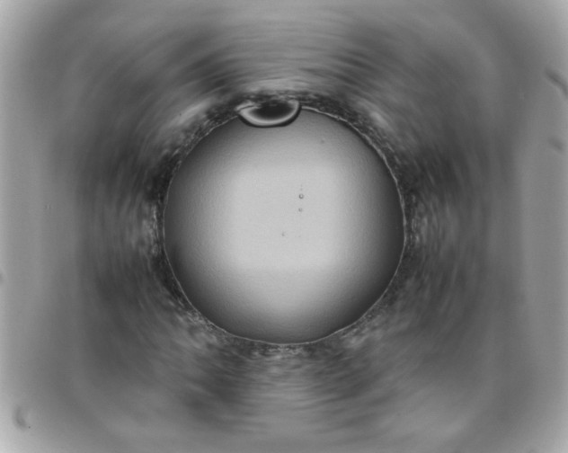 X0000097781062200803211754