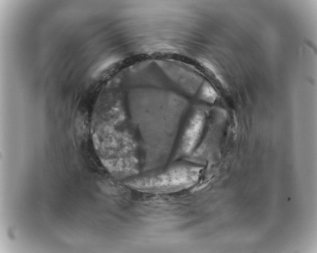 X0000097781063200803211754