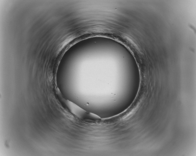 X0000097781065200803211754